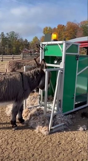 🦄 Wait... Why Is This Machine Shaving a Donkey?! 🤯💈
