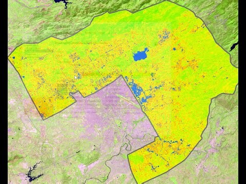 NDVI | Vegetation/Forest Cover Map using ArcGIS @GIS Hacks