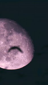 127K views · 4.7K reactions | Pink Moon Self Discovery Spell ️ #witchesofinstagram #fullmoonmagic #pinkmoon | SpellCraft By Esme Rose | Facebook