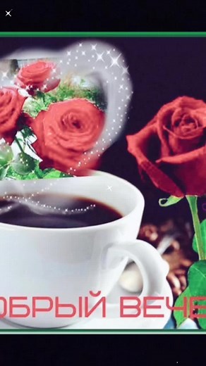 Elegant Roses in Bloom: A Visual Tribute for You