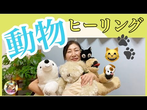 アニマルヒーリング♡再生するだけです【自然治癒力をアップ↑】