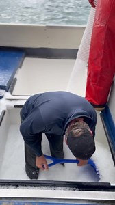 136K views · 1.5K reactions | Getting ready to haul halibut takes a little prep work. Loading the boat with gear and groceries, getting ice and fuel, and baiting and setting the longline takes days, but hauling a set only take a couple hours. #workhardplayhard #seafood #halibut #glacierbay #Alaska #ocean #fatherdaughter #familybusiness #gear #deckhand #letsgo #gearwork #fishing #fishingislife #commercialfishing | Worthy Seafoods | Facebook