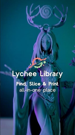 Find Slice & Print in ONE place with Lychee Library