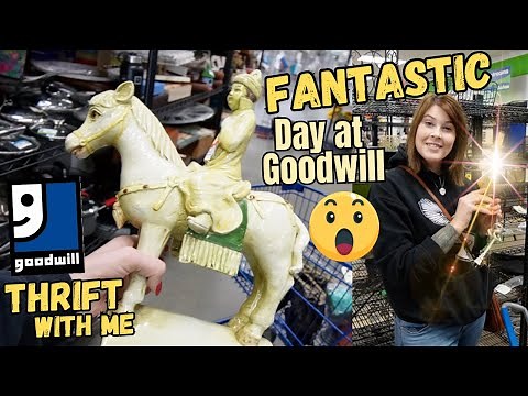 FANTASTIC Day at Goodwill | Thrift With Me | Crazy Lamp Lady Reselling