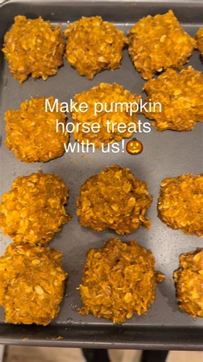 Make your horse a Halloween treat! Recipe: 4 cups oats 1 can pumpkin 2 cups water 2 tsp baking powder 1 3/4 cup whole wheat flour 2 tsp cinnamon 2 tbsp molasses Mix until well combined. Place on a greased cookie sheet. Bake at 350 for 20 minutes. Share with your horse and his friends once cooled! Click the link in our bio to learn more about how to safely feed your horse pumpkin. #horsetreat #pumpkin #recipe | TheHorse.com