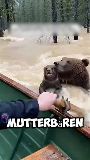 The kind-hearted man saved the boy who was drowning in the water, and then...