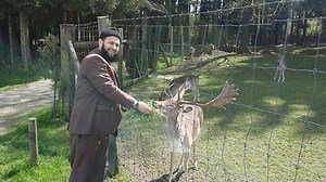 61K views · 2.5K reactions | From deer exists, this musk is the healing of the soul من غزال موجود هذا المسك هو شفاء الروح | Dr.Mala Ali Kurdistani | Facebook