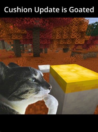 cushion update is goated #minecraft #funny #foryou | minecraft