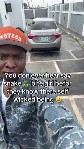 Snake Bites: What You Need to Know About Safety