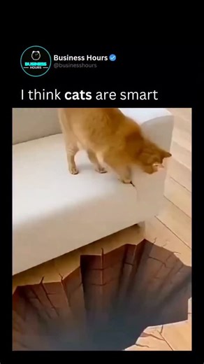 Business | Wealth | Tech on Instagram: "This viral clip of an orange tabby proves that cats aren’t just sensitive to movement—they can be completely fooled by 2D geometry. The rug uses forced perspective, an optical illusion where a distorted pattern creates the 3D effect of a bottomless hole when viewed from a specific angle. To the cat, whose depth perception is specialized for hunting, the contrasting patterns mimic the shadows of a real drop-off. However, once the cat’s paws touch the flat,