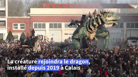 À Calais, le Varan rejoint le Dragon lors d'un spectacle "féérique" de machines mobiles