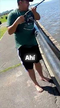 The ultimate technique for catching a mojarra! 🎣