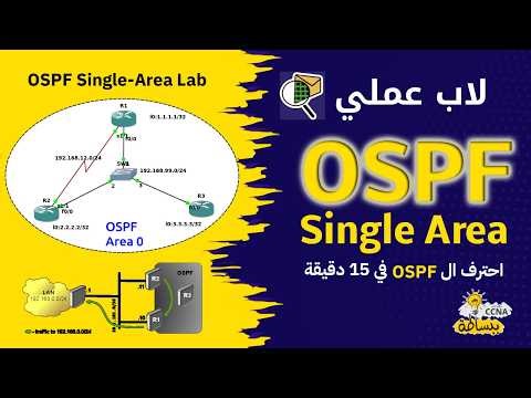 A practical lab on OSPF - Master OSPF in 15 minutes