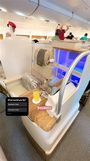 Emirates Business vs Economy Class ✈️ #shorts