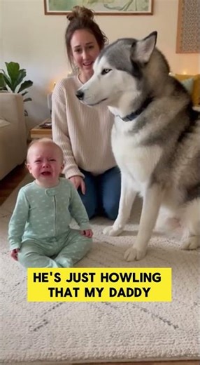 Dog mocking baby.#funnybabyvideos #funnybabyshorts #funnybabyshorts