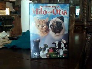 The Adventures of Milo and Ottis | Walk Outside