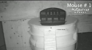 Mouse Trap Bucket - Flip and Slide Bucket Lid Mouse Trap |Humane or Lethal| |Trap Door Style| |Multi Catch |Auto Reset| |Indoor Outdoor| |No See Kill| |5 Gallon Bucket Compatible A (1Y PC)