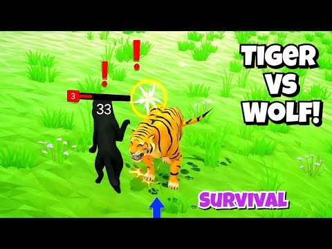 Life Of Tiger – Survival Simulator Gameplay | Walkthrough