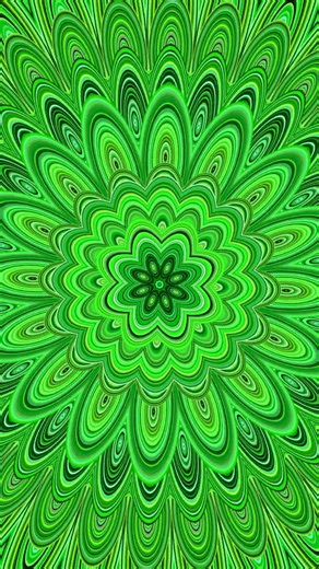 Green Mandala Animation - Seamless Loop