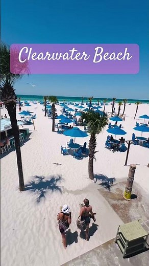 HILTON CLEARWATER BEACH #shorts #hiltonclearwaterbeach #florida #beachvibes