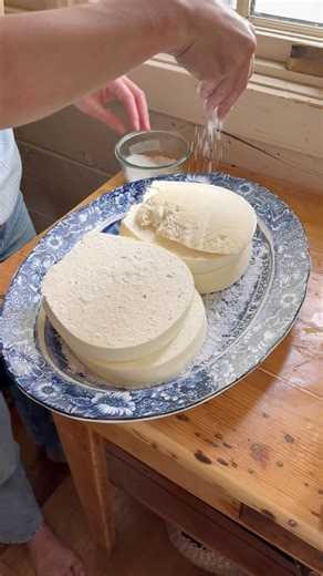 Aging homemade feta cheese made from sheep’s milk