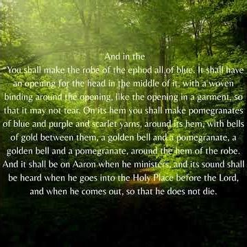 Exodus 28 Biblical Wisdom