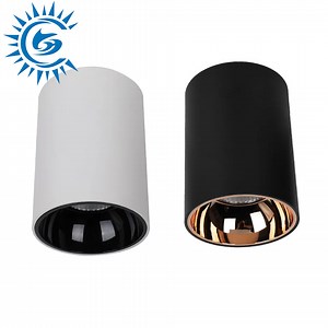 [Hot Item] Changzhou Forever Lighting LED Ceiling Doenlight Popular High Quality 10-40W Anti Glare Round Surface Mounted Cylinder LED Spotlight Downlight