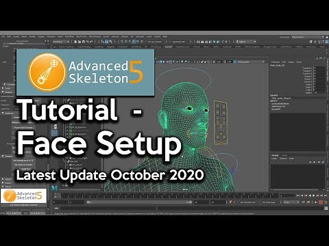 Advanced Skeleton Face Setup Latest Update October 2020