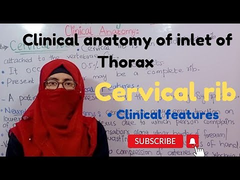 Cervical rib |clinical of the inlet of Thorax| clinical features of the Cervical rib |Thorax anatomy