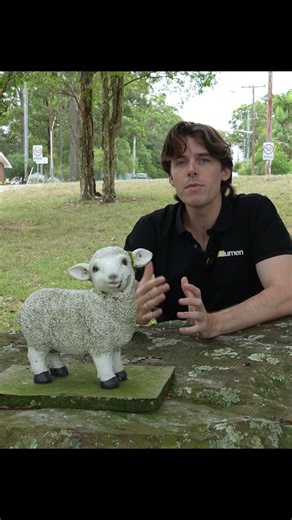 Do you want to finish on-site faster than the rest?