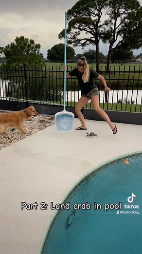 10K views · 285 reactions | Florida and crabs  #kellyyoung #youtuber #onlyinflorida | Kelly Young | Facebook