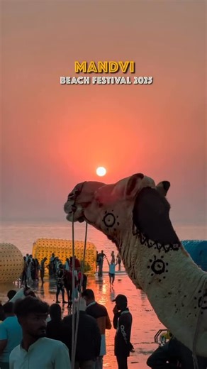 Vishal Thacker BJP 🇮🇳 on Instagram: "Mandvi Beach Festival is on from Dec 21–31 🌊🎉 If you’re heading there, don’t miss these iconic spots nearby: 📍 Vijay Vilas Palace 📍 Shyamji Krishna Varma Memorial 📍 Mandvi Beach Festival 📍 Asar Beach 📍 Ship Building Yard, Mandvi 📍 Prag Mahal 📍 Aaina Mahal 📍 Chhari Dhand Bird Sanctuary 📍 Ekal Rann Kutch Perfect blend of beaches, heritage, and culture — Mandvi has it all 🤍 Save this for your Kutch trip! . #MandviBeachFestival #GujaratTourism #Mand