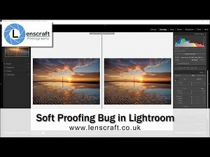 Lightroom Soft Proofing Bug and How to Fix the Issue