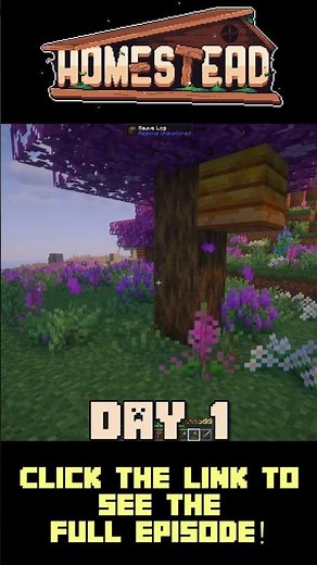 Day 1: It's a beautiful world in HOMESTEAD for Minecraft Java!