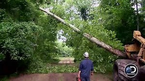 Watch Swamp Loggers Season 2 Episode 5 - Rainy Days