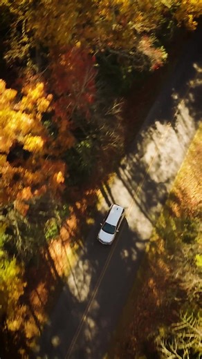 Fall in Cherokee, NC. 🍂🍁🧡