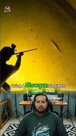 Blowgun Fishing?! Creative Way to Catch Fish #fishing