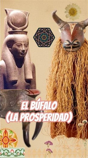🐂 BÚFALO: El Secreto de la Prosperidad Lenta. Serie 2/12 #collage #art ‪@soylaurasia‬