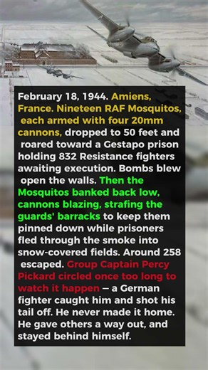 The RAF Mission Where Fighter Pilots Bombed a Prison to Save It |WW2