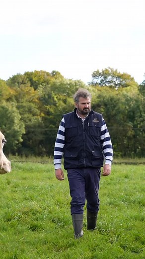 Mervyn Johnston’s herd in Longford is made up mostly of Hereford-cross cattle a perfect fit for his system. He chose the Hereford breed for their hardy nature, strong feet and excellent mothering ability, making them ideal for a busy farmer who works off-farm too! 👨‍🌾 Mervyn’s farm also boasts a beautiful lake teeming with wildlife, including swans. 🦢 Mervyn carefully manages his hedgerows to provide a haven for birds and biodiversity year-round. 🌳💚 #IrishHerefordPrime @kepak_group | Irish 