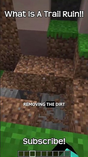 What Is A Trail Ruin In Minecraft?!