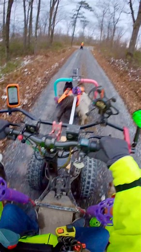 Chasing Animal Sounds we broadcast from my BEAST BOOM BOX as we MUSH - I call it #TechnologicalEnrichment | WooFDriver