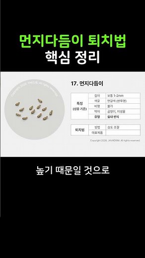 먼지다듬이 퇴치법의 핵심만 30초안에 정리해드립니다 #먼지다듬이퇴치법