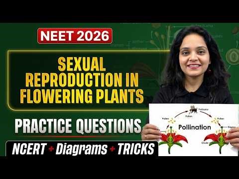 Principles of Inheritance and Variations | Most Expected Botany Questions | NEET 2026 | Tarana Ma'am