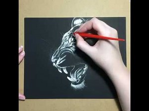 Tiger Scratchboard Drawing Time Lapse Art