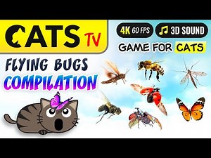 CAT TV - Bugs ULTIMATE Compilation 🙀🐝🪰 Game for cats 😻🐶 Multi background 🐝 🐭🪳
