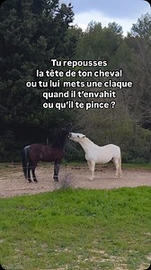 7K views · 2.1K reactions | Ton cheval te pousse avec le nez, t’envahit, te pince ? Pour ta sécurité, ne le laisse pas croire que tu joues en repoussant sa tête mais stoppe le jeu en agissant comme une jument en bougeant ses pieds loin de toi, pas son nez ! Valerie www.juste-avec-mon-cheval.com #justeavecmoncheval #horseeducation #eduquetoncheval #ethologie #fawziistory | Juste avec mon cheval | Facebook