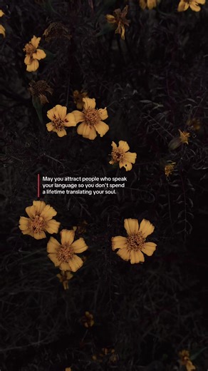 Attracting Like-Minded People