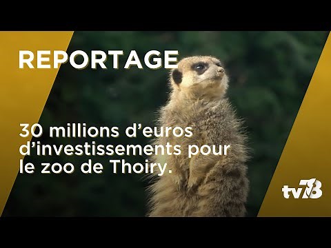 Le Zoo de Thoiry va investir 30 millions d'Euros pour booster sa fréquentation