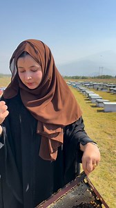28K views · 4K reactions | A daily routine of a female beekeeper in kashmir  | Beequeenof Kashmir | Facebook